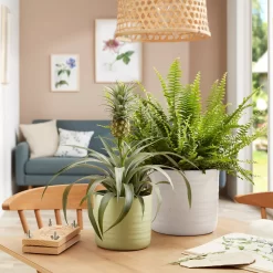 Scheurich Ripple White Indoor Pot - 14cm 5 Scheurich Ripple White Indoor Pot - 14cm -Garden Haven Shop 13953256 4084987120164177