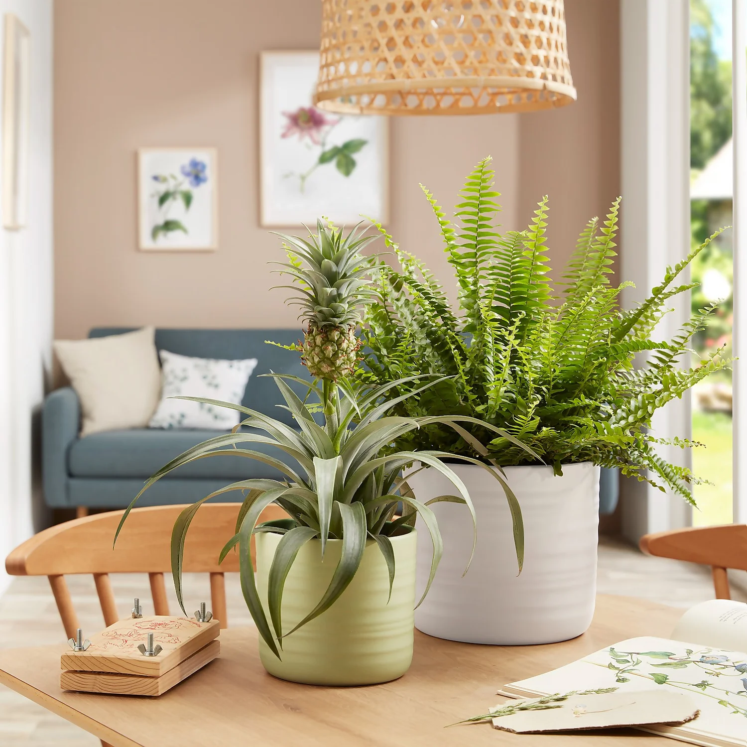 Scheurich Ripple White Indoor Pot - 12cm 3 Scheurich Ripple White Indoor Pot - 12cm - Image 3