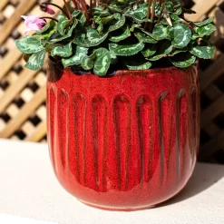 Chiswick Running Pot Red - 24cm 8 Chiswick Running Pot Red - 24cm -Garden Haven Shop 13973650 1495011238623086