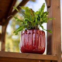 Chiswick Running Pot Red - 24cm 7 Chiswick Running Pot Red - 24cm -Garden Haven Shop 13973650 1515011238582730