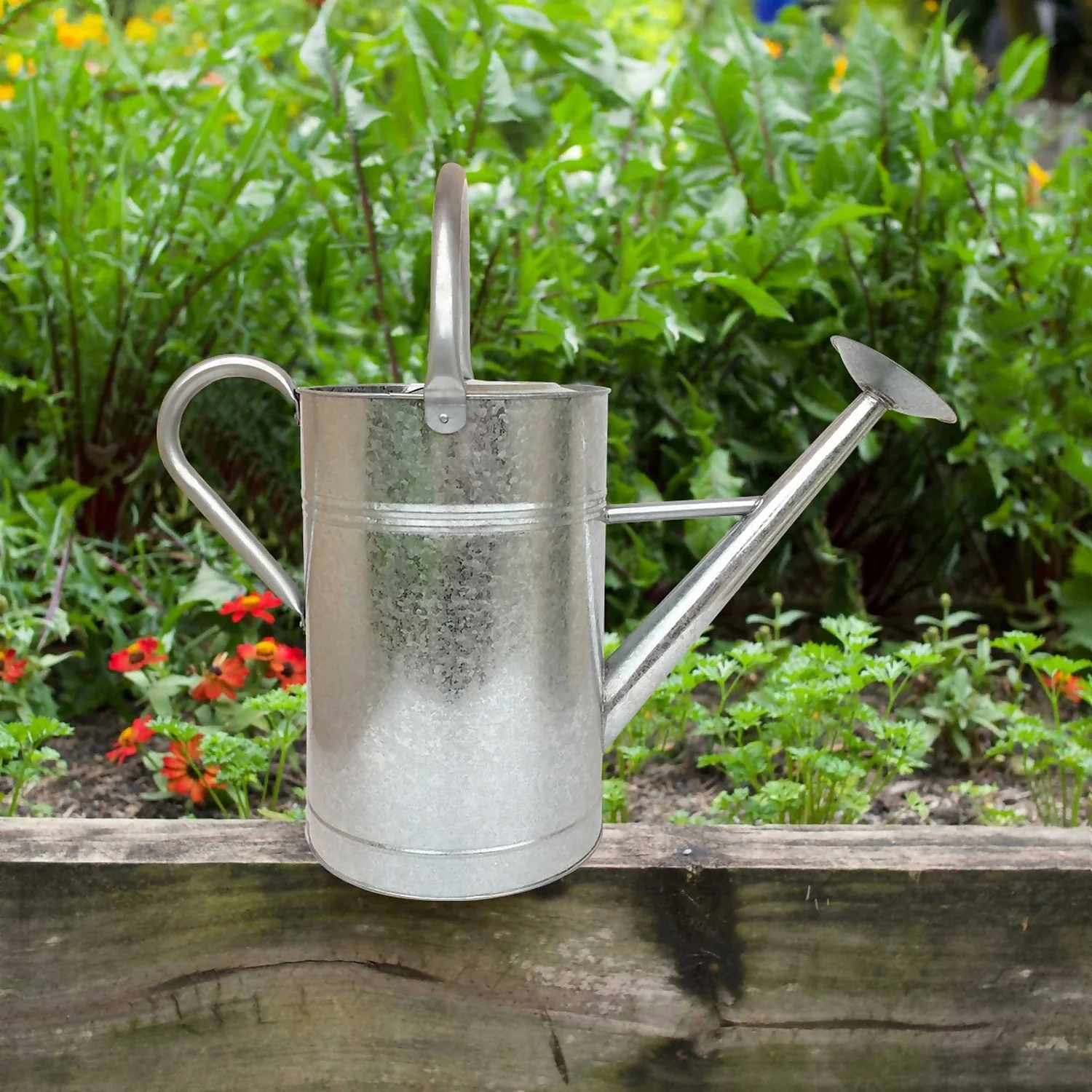 Galvanized Watering Can - 9L 5 Galvanized Watering Can - 9L - Image 5
