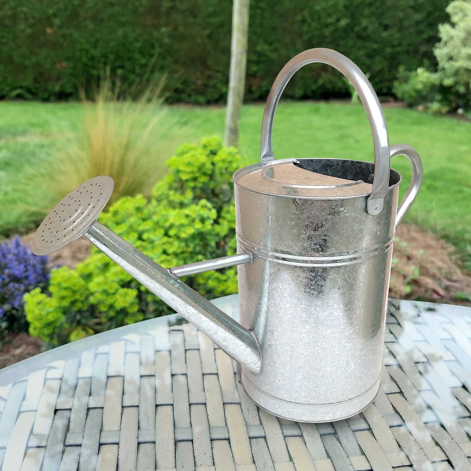 Galvanized Watering Can - 9L 4 Galvanized Watering Can - 9L - Image 4
