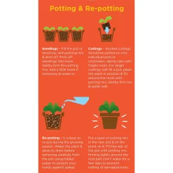 Westland Cacti & Succulent Potting Mix Peat Free 4L -Garden Haven Shop 14013786 1245003754031248