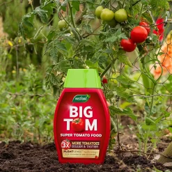Westland Big Tom Super Tomato Food 7 Westland Big Tom Super Tomato Food -Garden Haven Shop 14013789 1265003754036822