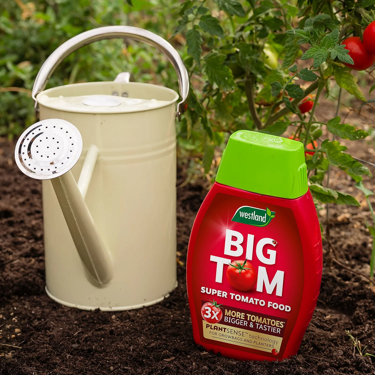 Westland Big Tom Super Tomato Food 2 Westland Big Tom Super Tomato Food - Image 2