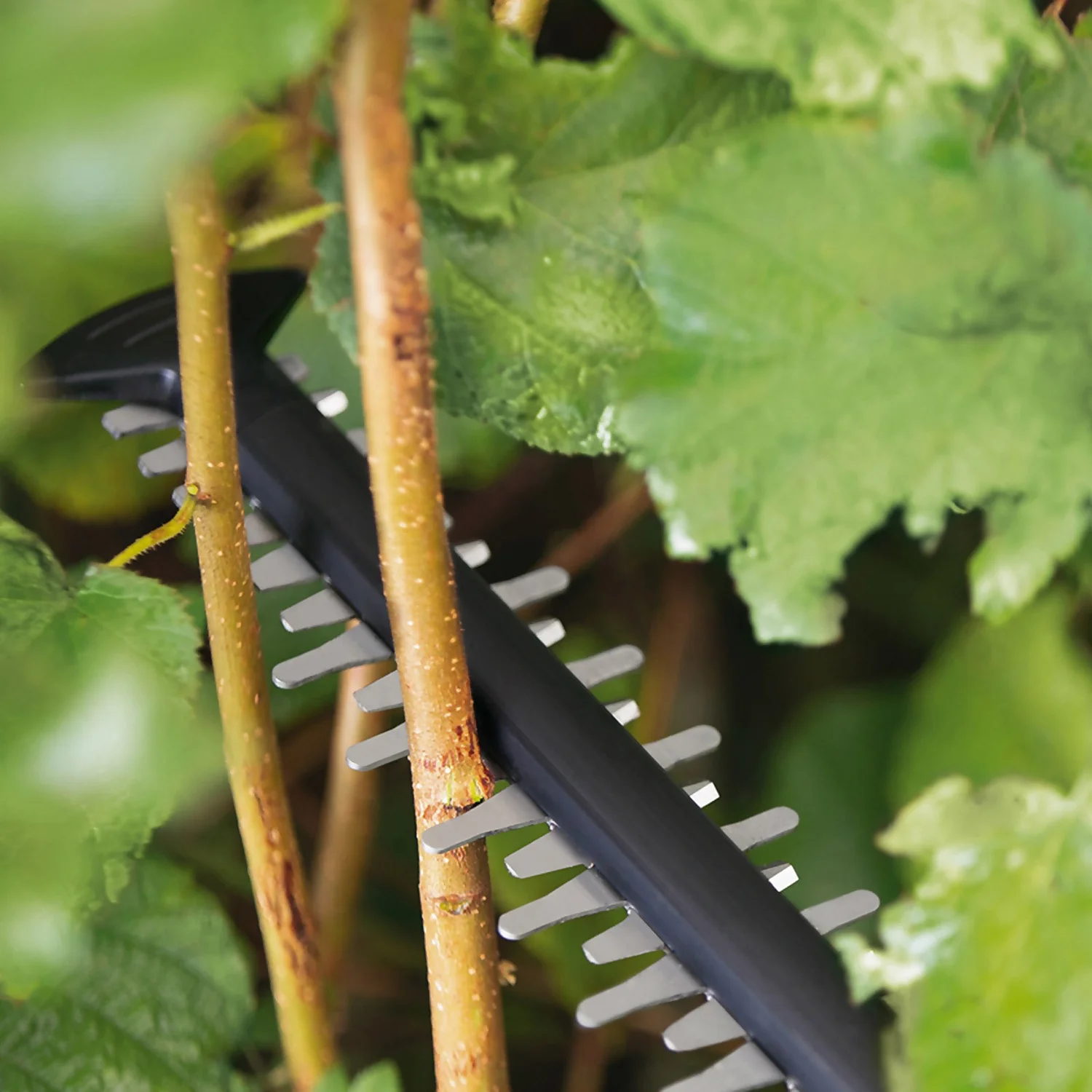 Bosch UniversalHedgeCut 18V-55 Hedge Cutter 10 Bosch UniversalHedgeCut 18V-55 Hedge Cutter - Image 10