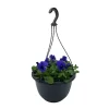 Spring Pansy/Viola Coloured Hang Pot 25cm