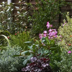 Garden On A Roll Eco Border - 3m X 40cm -Garden Haven Shop 14300075 1755032495101150