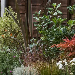 Garden On A Roll Eco Border - 3m X 40cm -Garden Haven Shop 14300075 9485032495126530