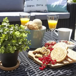 Keter California 4 Seater Outdoor Garden Furniture Lounge Set - Graphite With Grey Cushions -Garden Haven Shop 14539591 1385041801776162